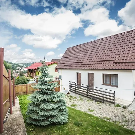 Apartment Manuela Brasov